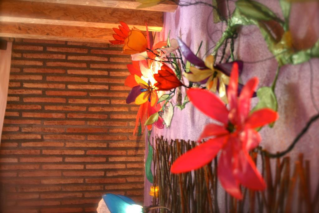 Perarrua Casa El Pelaireゲストハウス エクステリア 写真